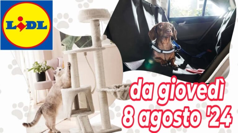 Cibo per Gatti Lidl: Qualit&agrave; e Convenienza a Portata di Zampa