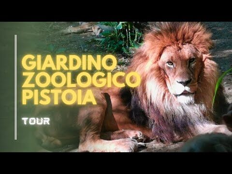 Recensioni sullo Zoo di Pistoia: Cosa Aspettarsi
