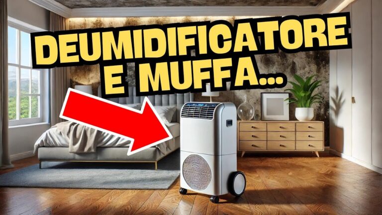 Opinioni sui Deumidificatori per Combattere la Muffa