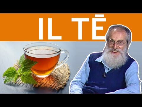 I migliori tè deteinati da provare