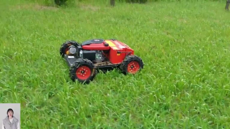 Strumenti Online a Prezzi Competitivi