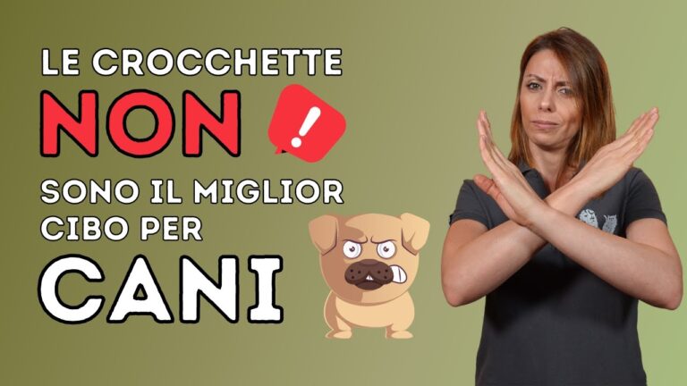 Recensioni sulle Crocchette Gemon: Qualità e Opinioni