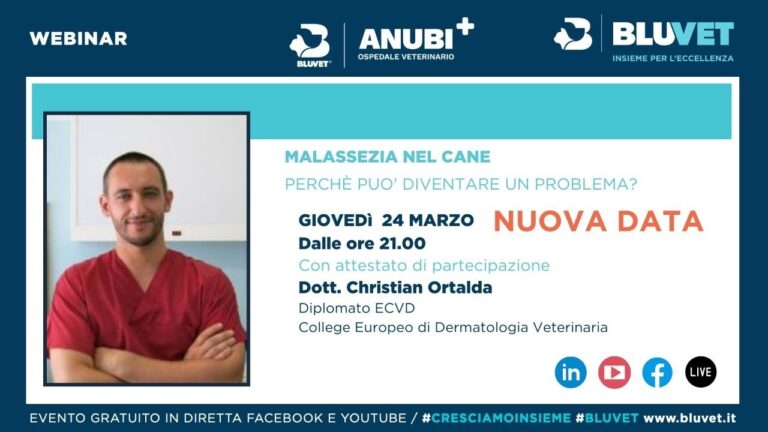 Pericoli delle Salviette per Cani: Cosa Sapere