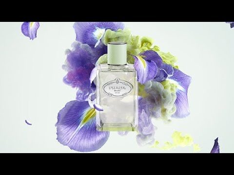 Iris di Yodeyma: Significato e Caratteristiche